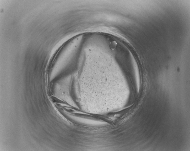 X0000051861517200507151807