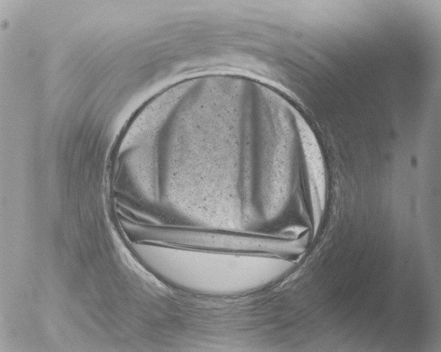 X0000051861518200507151807