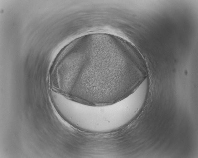 X0000051861519200507151807