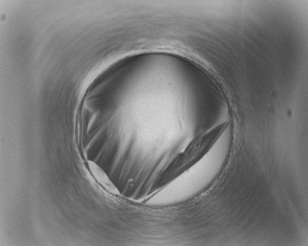 X0000051861520200507151807