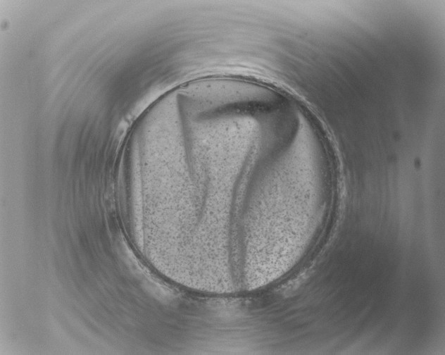 X0000051861521200507151807