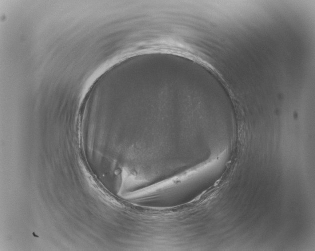 X0000051861522200507151807