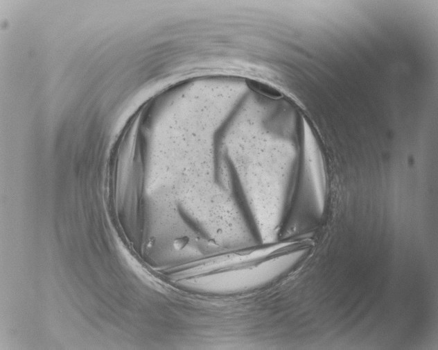 X0000051861523200507151807