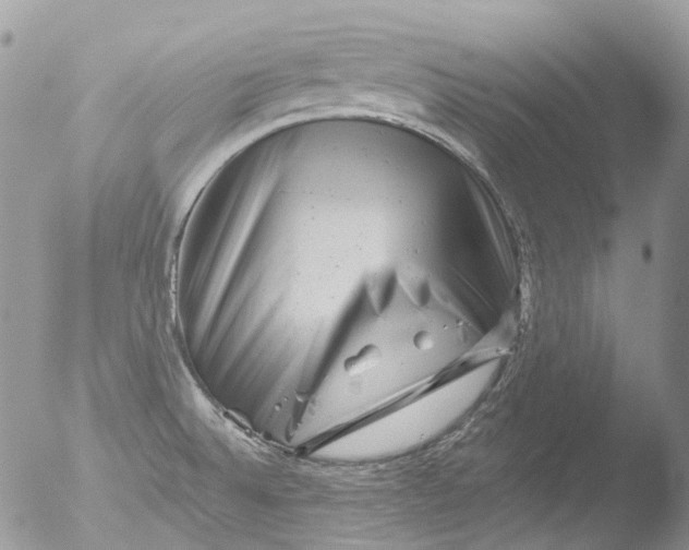 X0000051861524200507151807