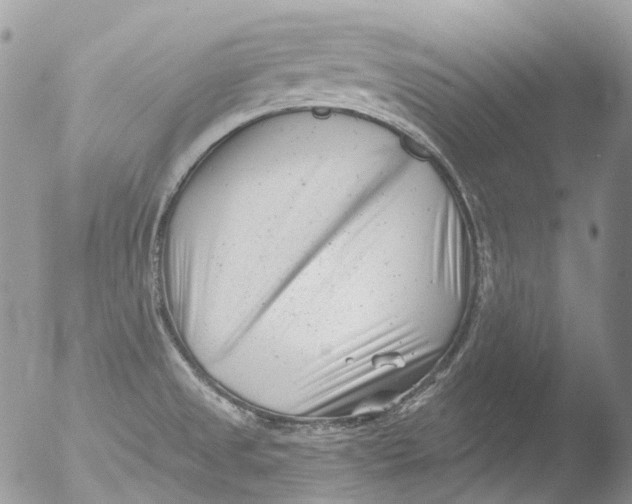 X0000051861525200507151807