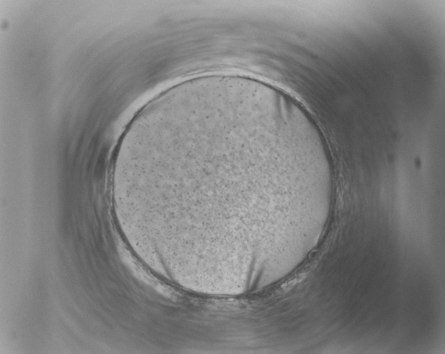 X0000051861526200507151807