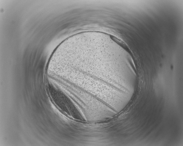 X0000051861527200507151807