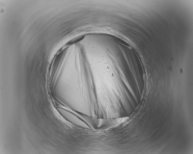 X0000051861528200507151807