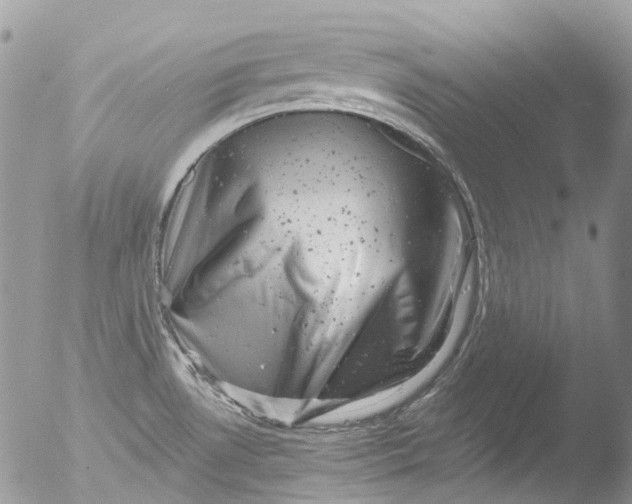 X0000051861530200507151807