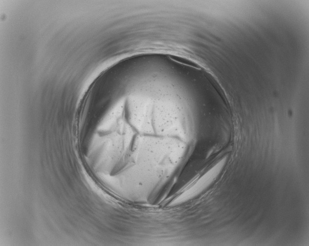 X0000051861531200507151807