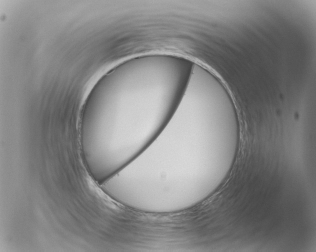 X0000051861532200507151807