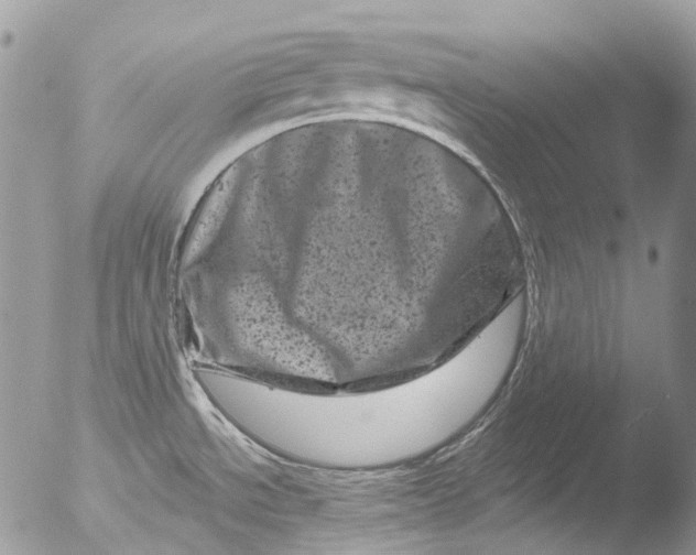 X0000051861534200507151807