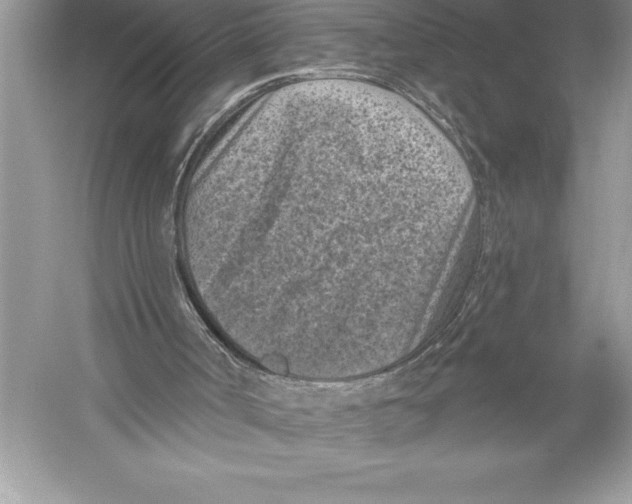 X0000051860002200507221909