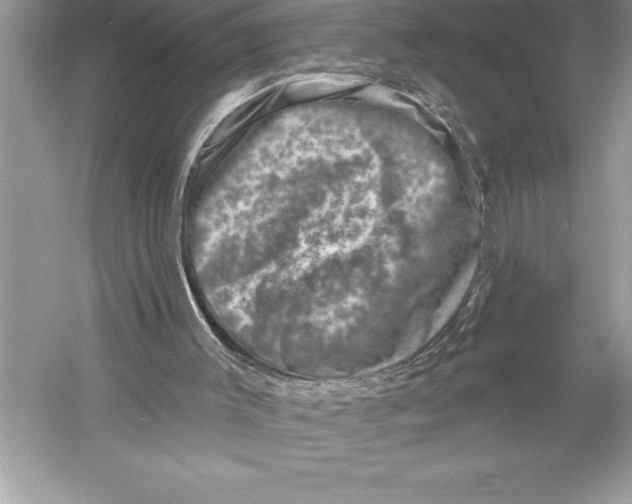 X0000051860003200507221909