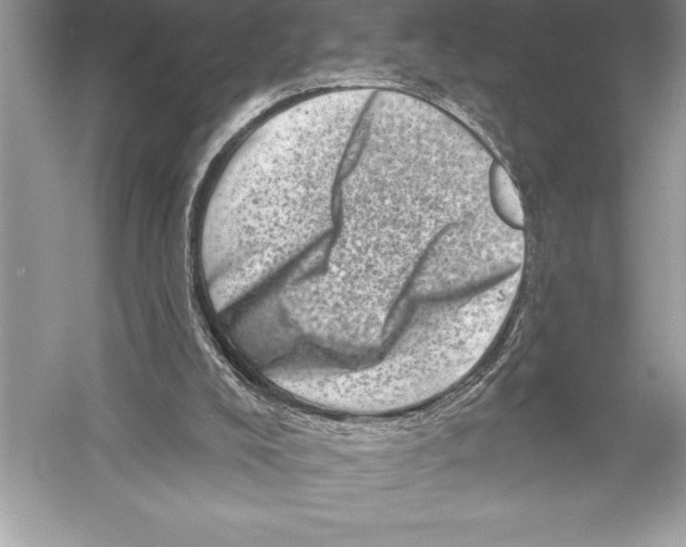 X0000051860008200507221909