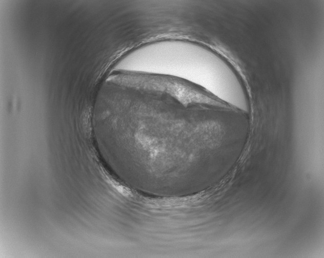 X0000051860009200507221909