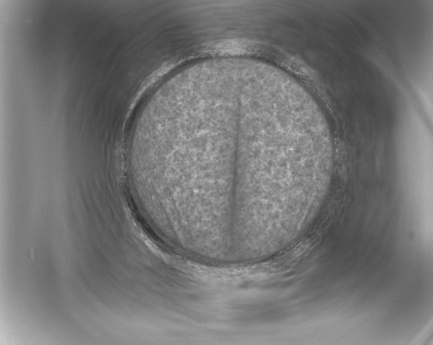 X0000051860012200507221909