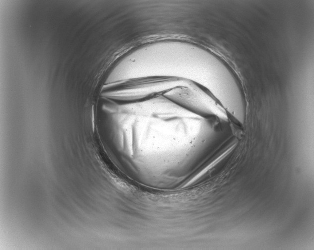 X0000051860013200507221909