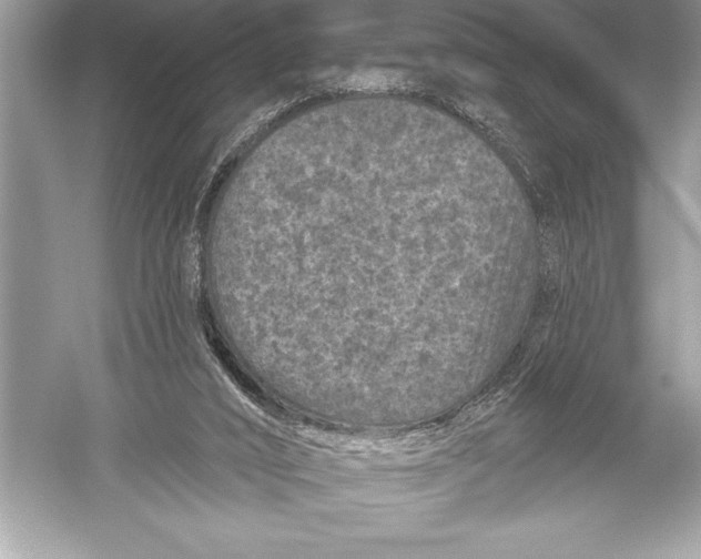 X0000051860016200507221909