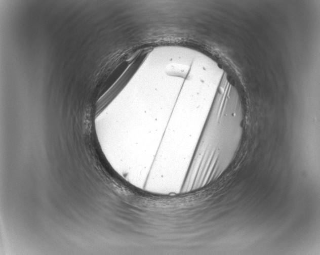 X0000051860017200507221909