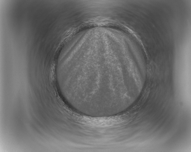 X0000051860018200507221909