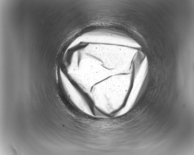 X0000051860020200507221909