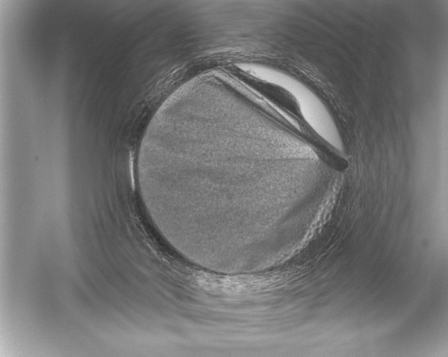 X0000051860022200507221909