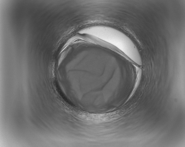 X0000051860023200507221909