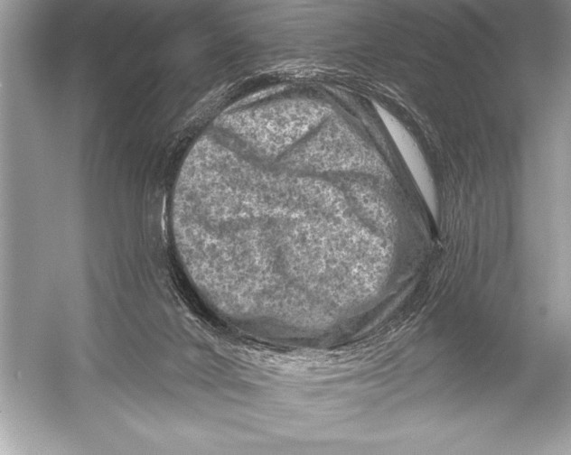 X0000051860024200507221909