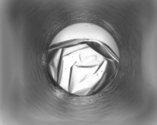 X0000051860025200507221909