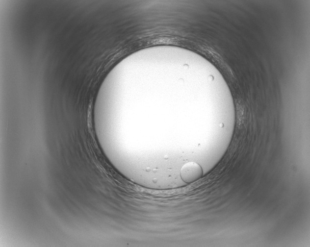 X0000051860026200507221909