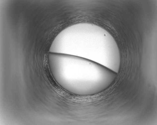 X0000051860029200507221909