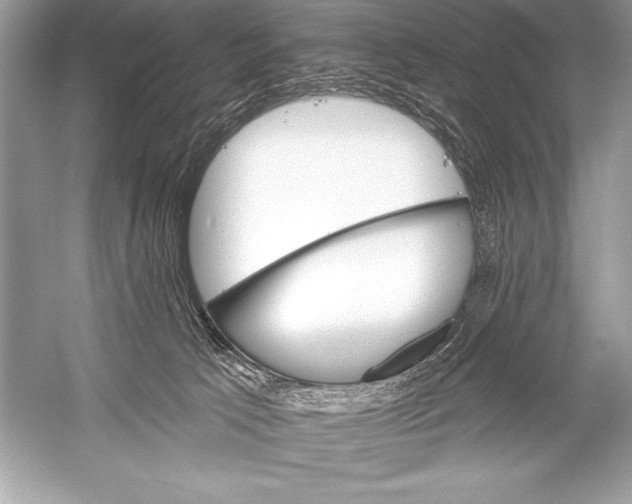 X0000051860033200507221908