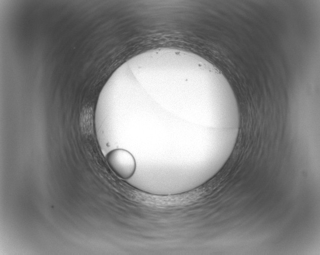 X0000051860034200507221908