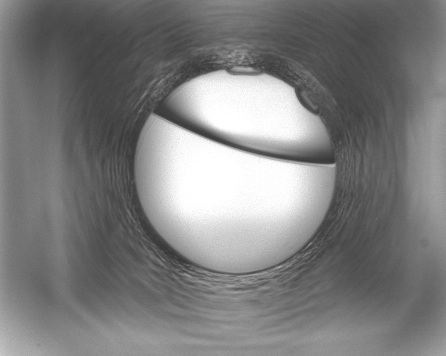 X0000051860035200507221908