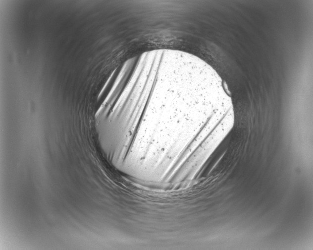 X0000051860040200507221908