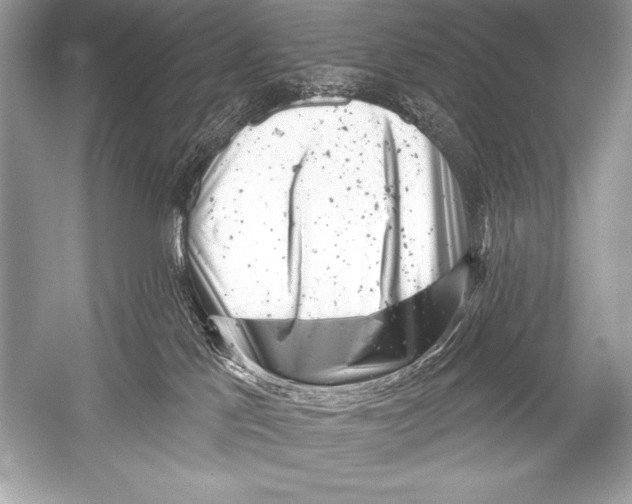 X0000051860041200507221908