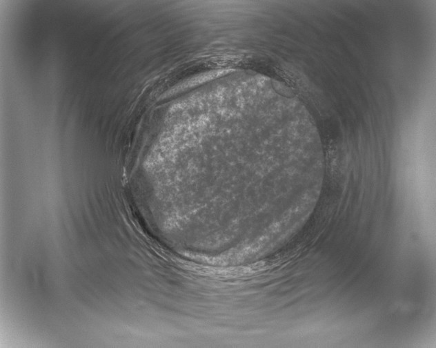 X0000051860042200507221908