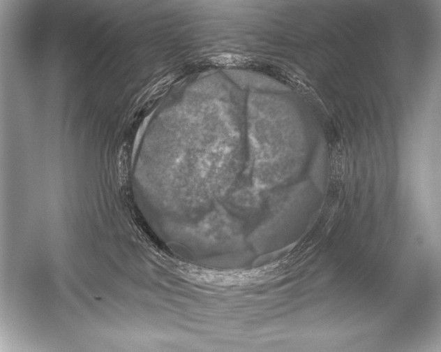 X0000051860043200507221908