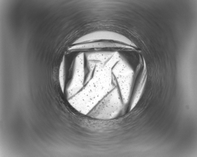 X0000051860044200507221908