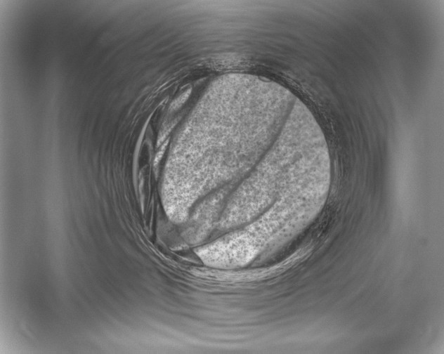 X0000051860048200507221908