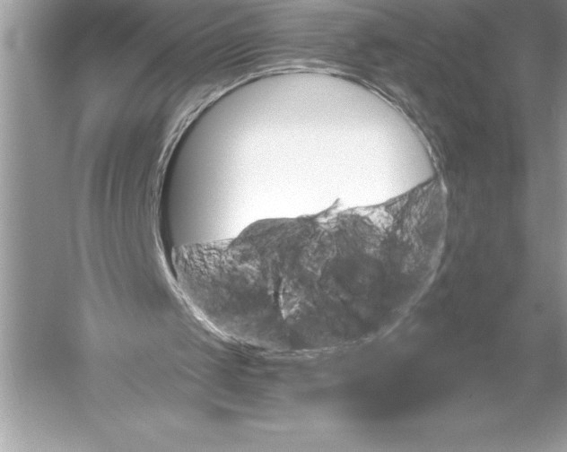 X0000051860049200507221907