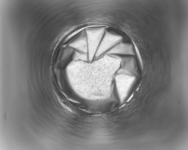 X0000051860050200507221907