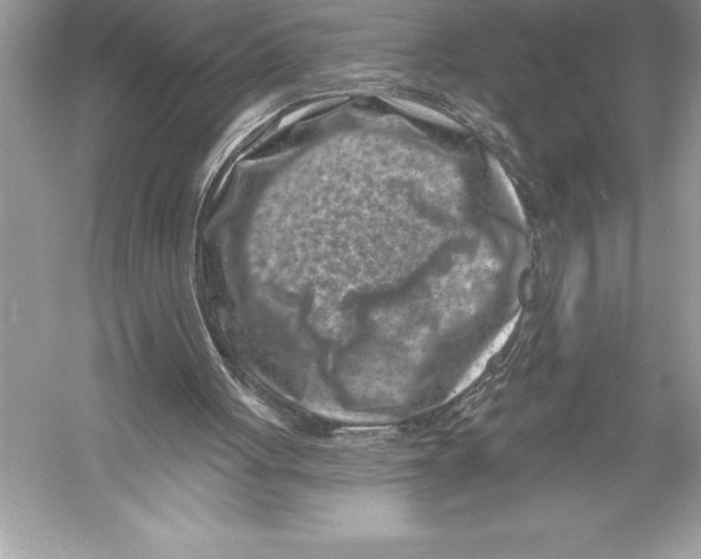 X0000051860051200507221907