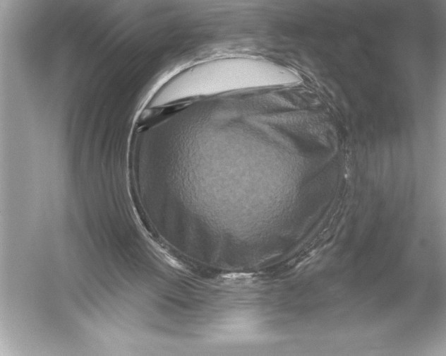 X0000051860052200507221907