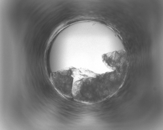 X0000051860053200507221907