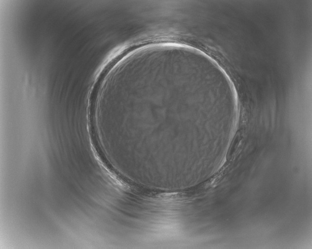 X0000051860054200507221907