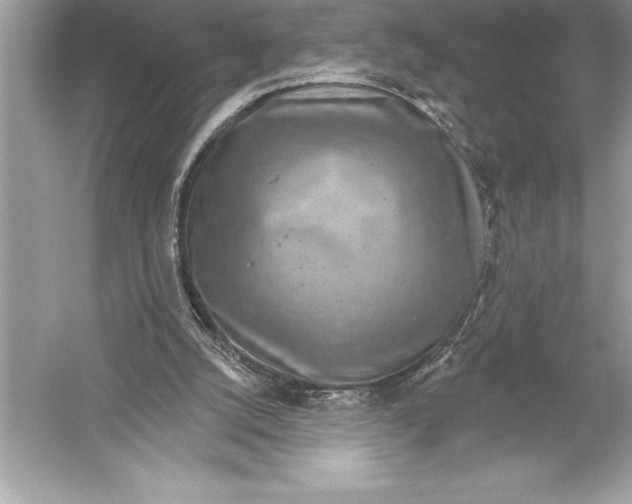 X0000051860056200507221908