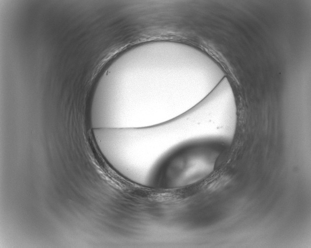 X0000051860058200507221908