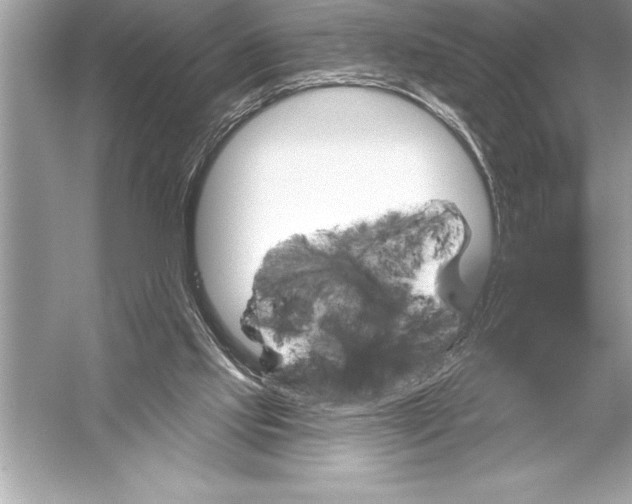 X0000051860061200507221908